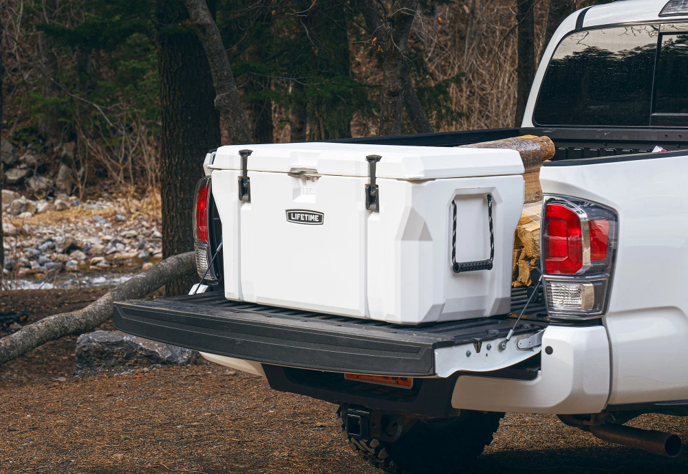 best portable electric cool box